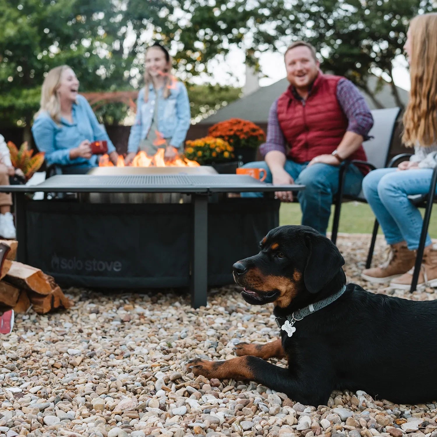 Omranding voor Solo Stove Yukon